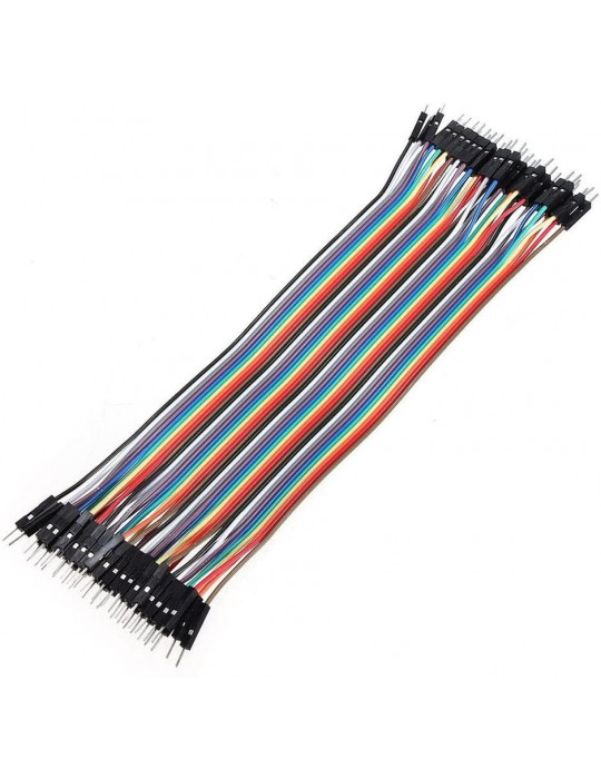 Connectiques / Câblages - Rallonge de câble GPIO Mâle / Mâle - 20 cm - 1
